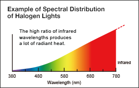 Example of Spectral Distribution of Halogen Lights