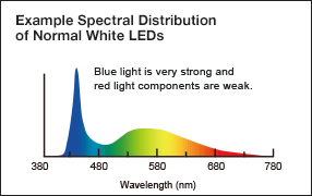 Example Spectral Distribution of Normal White LEDs